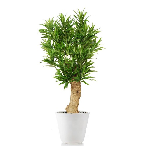 Planta semi-artificiala Ila, Dracaena Reflexa Drago Green - 120 cm